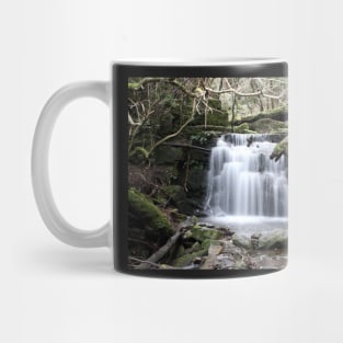 Strickland Falls Mug
